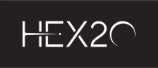 HEX20